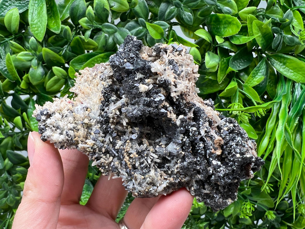 Aesthetic Natural shiny Galena whit Siderite and Quartz from 9 th September mine,Bulgaria,collection specimen,rare galena,Galena cluster