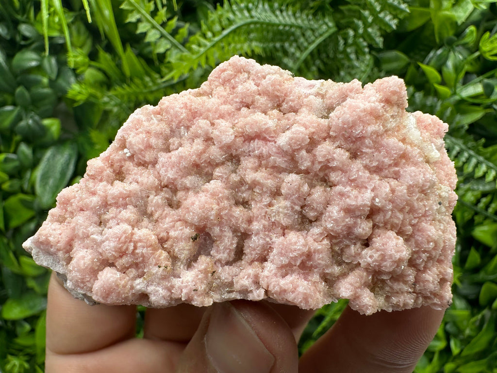Cabinet Rhodochrosite Specimen with Quartz Crystals, Bulgaria