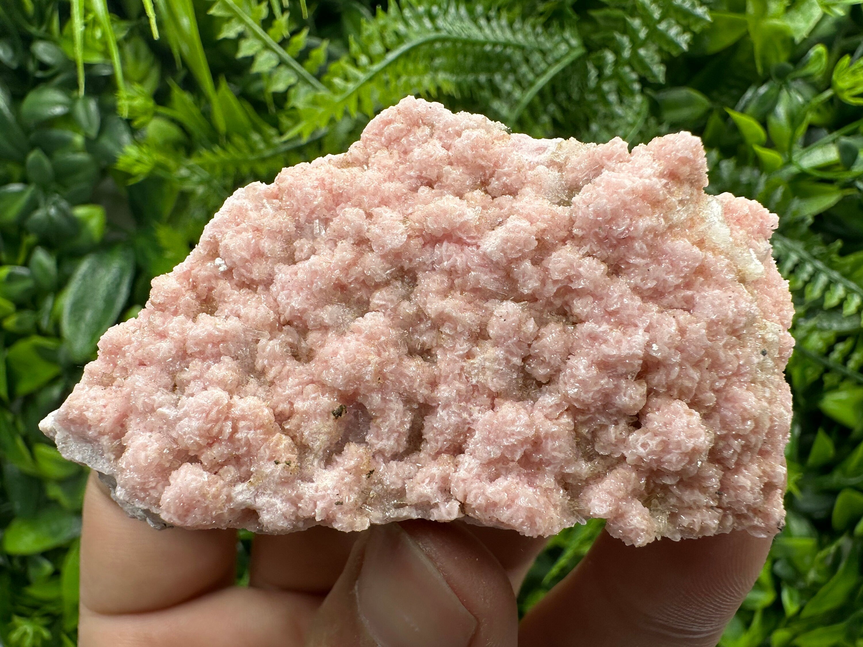 Cabinet Rhodochrosite Specimen with Quartz Crystals, Bulgaria