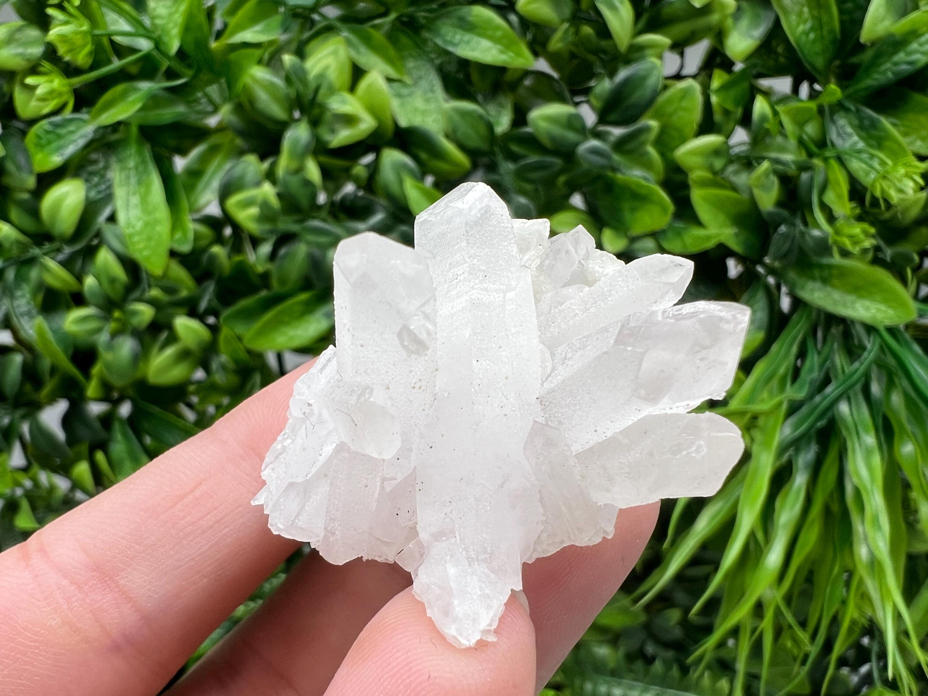 Wonderful Transparent Quartz on Chlorite Matrix,From Borieva mine,Madan,Bulgaria,Quartz,Quartz crystal,mineral specimen,collection quartz