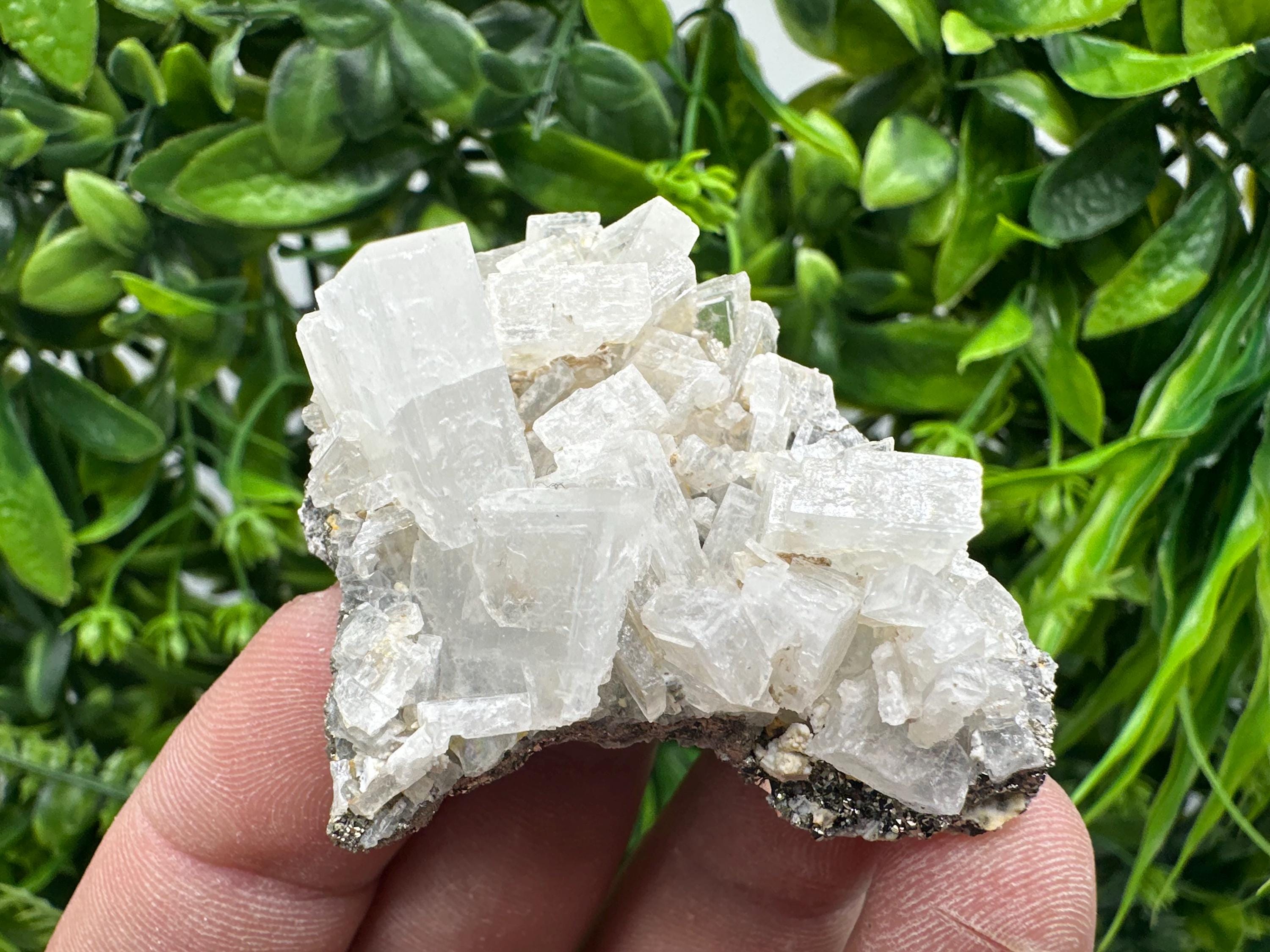 Large Barite Marcasite Cluster on Chalcedony, Bulgaria Mineral Specimen
