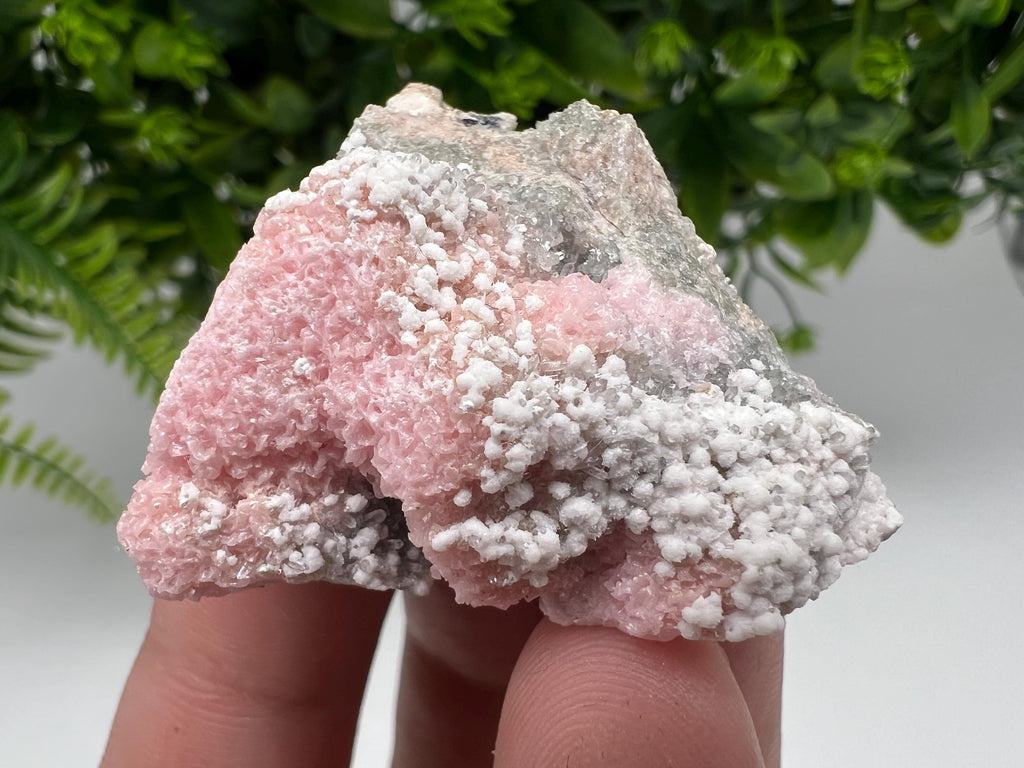 RARE Rhodochrosite with White Calcite, Starnica Mine, Bulgaria