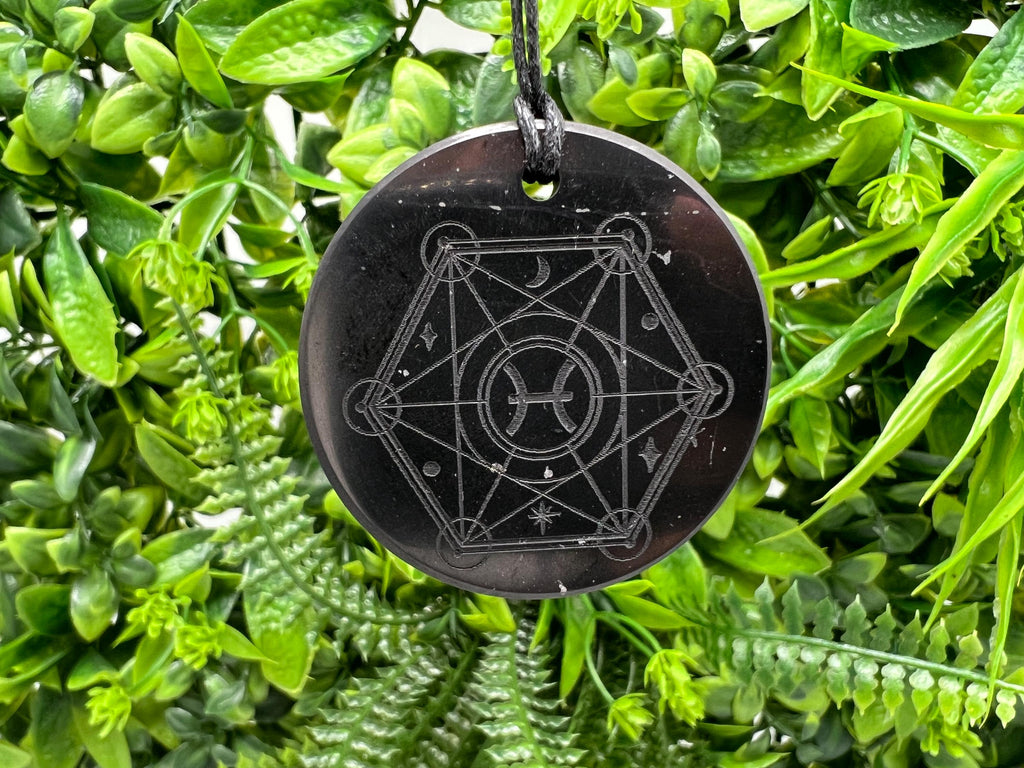 Shungite Pisces Zodiac Pendant Necklace: EMF Protection Healing Stone