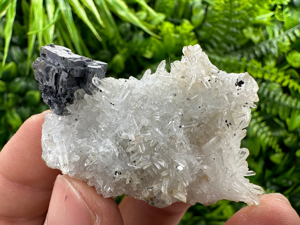 Galena on Quartz, Natural Crystal Mineral Specimen