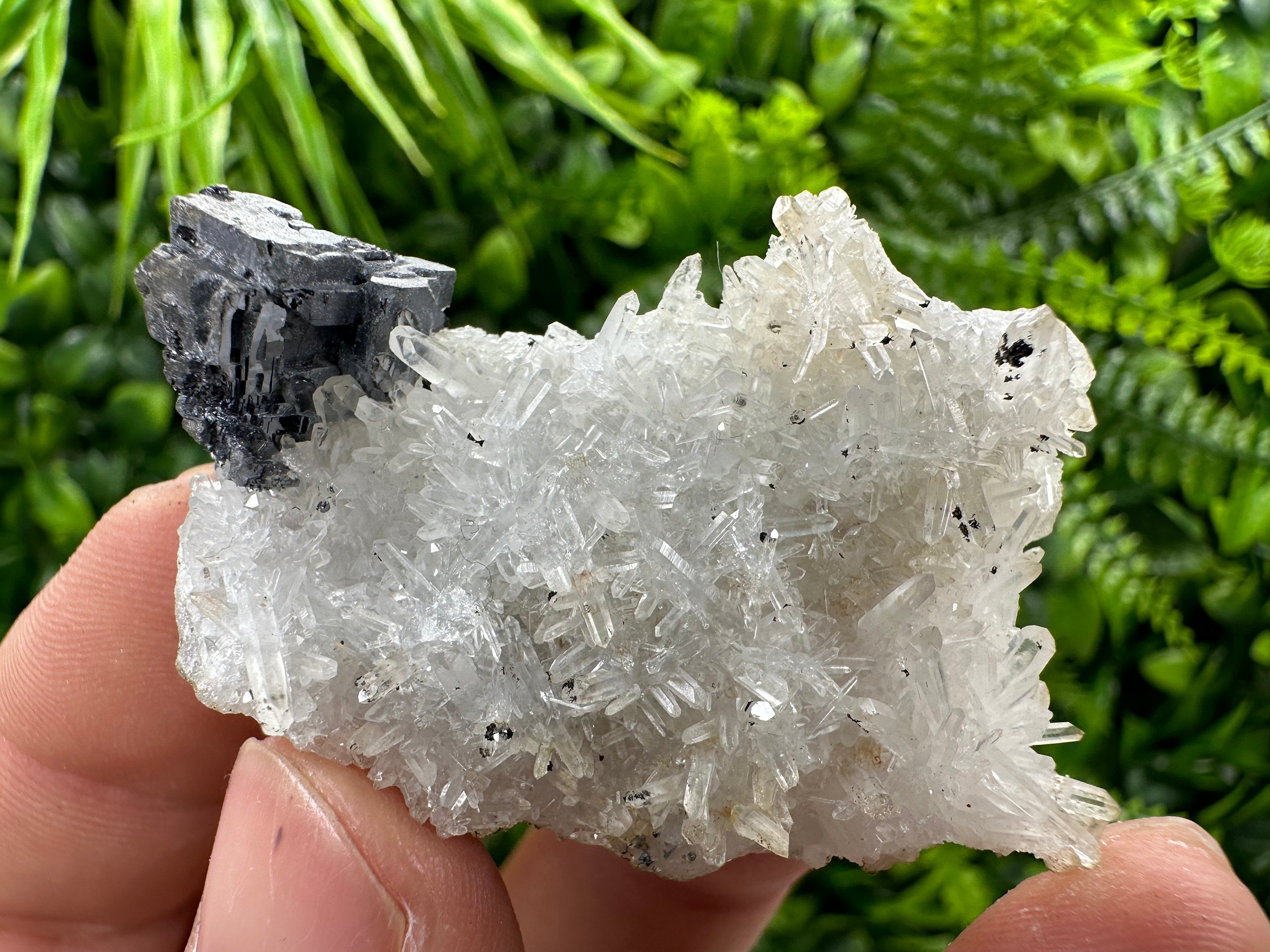 Galena on Quartz, Natural Crystal Mineral Specimen