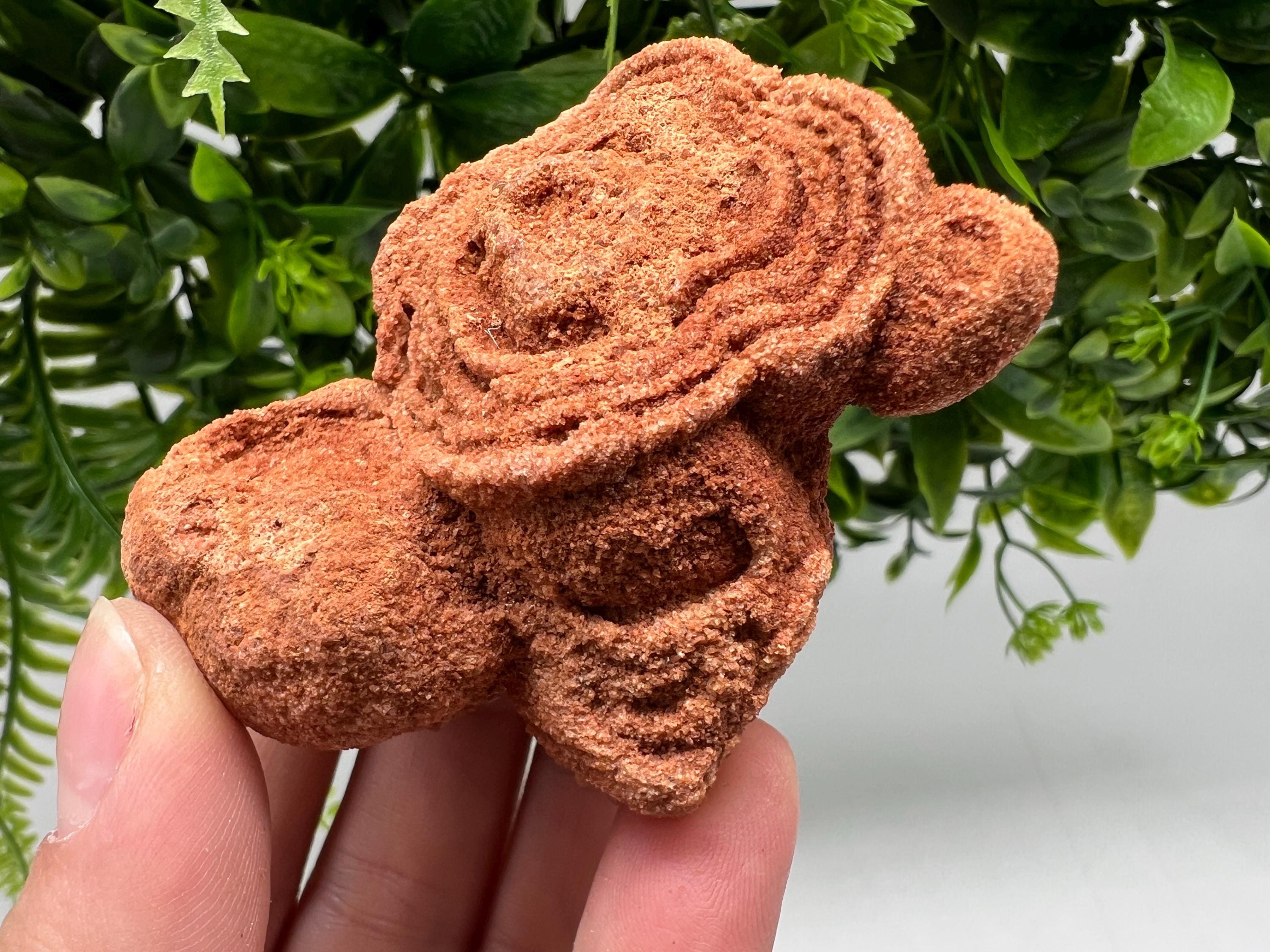 Raw Moroccan Stromatolite Fossil Specimen, Algae Stone for Meditation