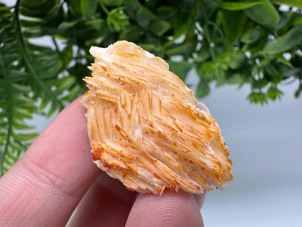 Red Vanadinite on Barite Cluster, Moroccan Crystal Specimen