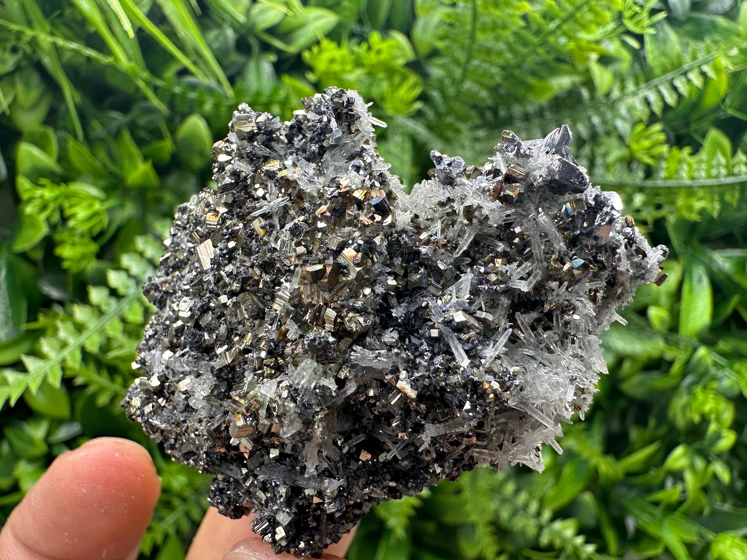 Galena Pyrite Sphalerite with Quartz, Borieva Mine Mineral Specimen