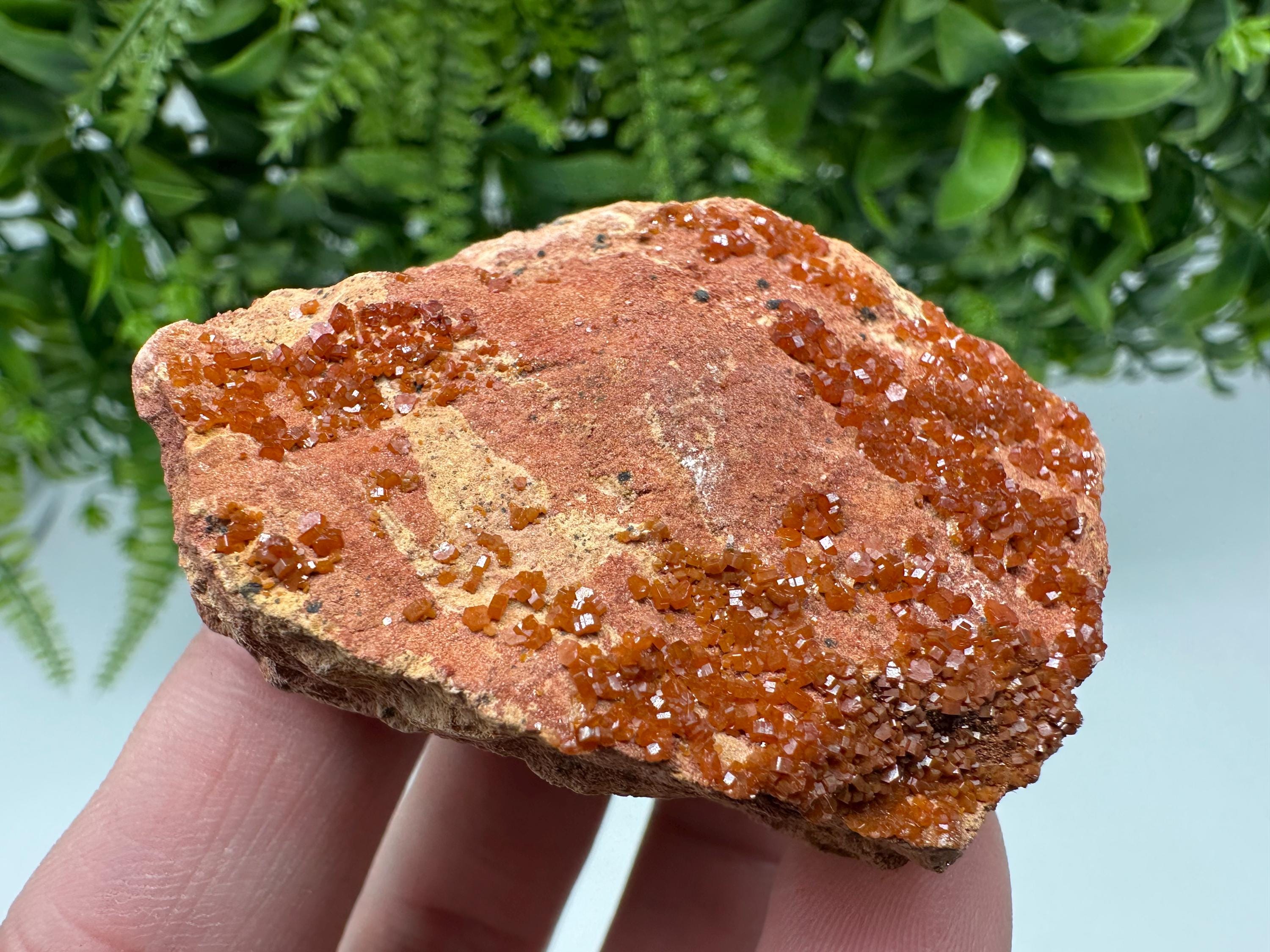 Red Vanadinite on Matrix from Marocco,crystal minerals Speciment cluster Vanadinite crystal Vanadinite Geology Vanadinite cluster minerals