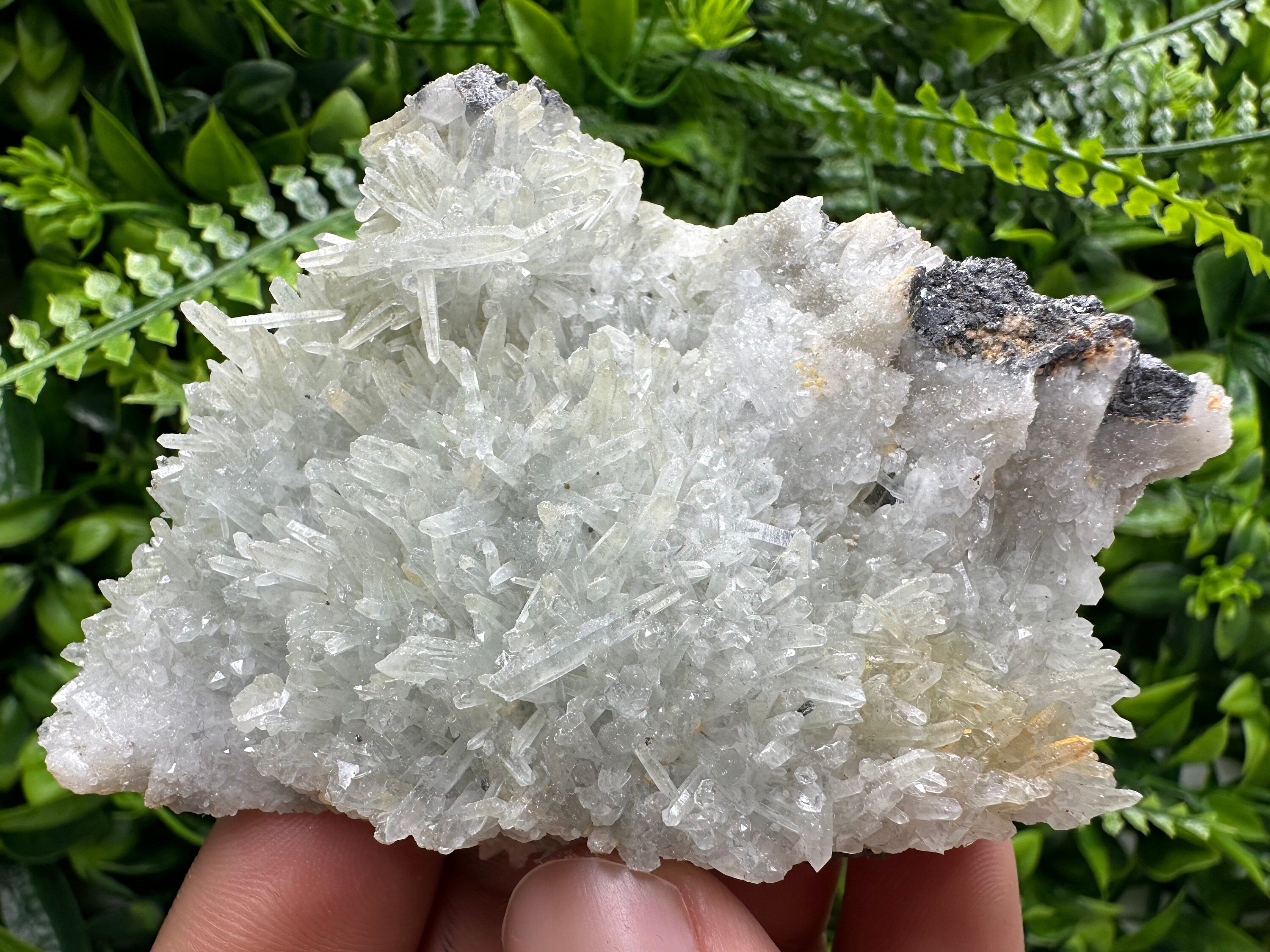 Chlorite Quartz Crystal with Hematite: Borieva Mine, Bulgaria