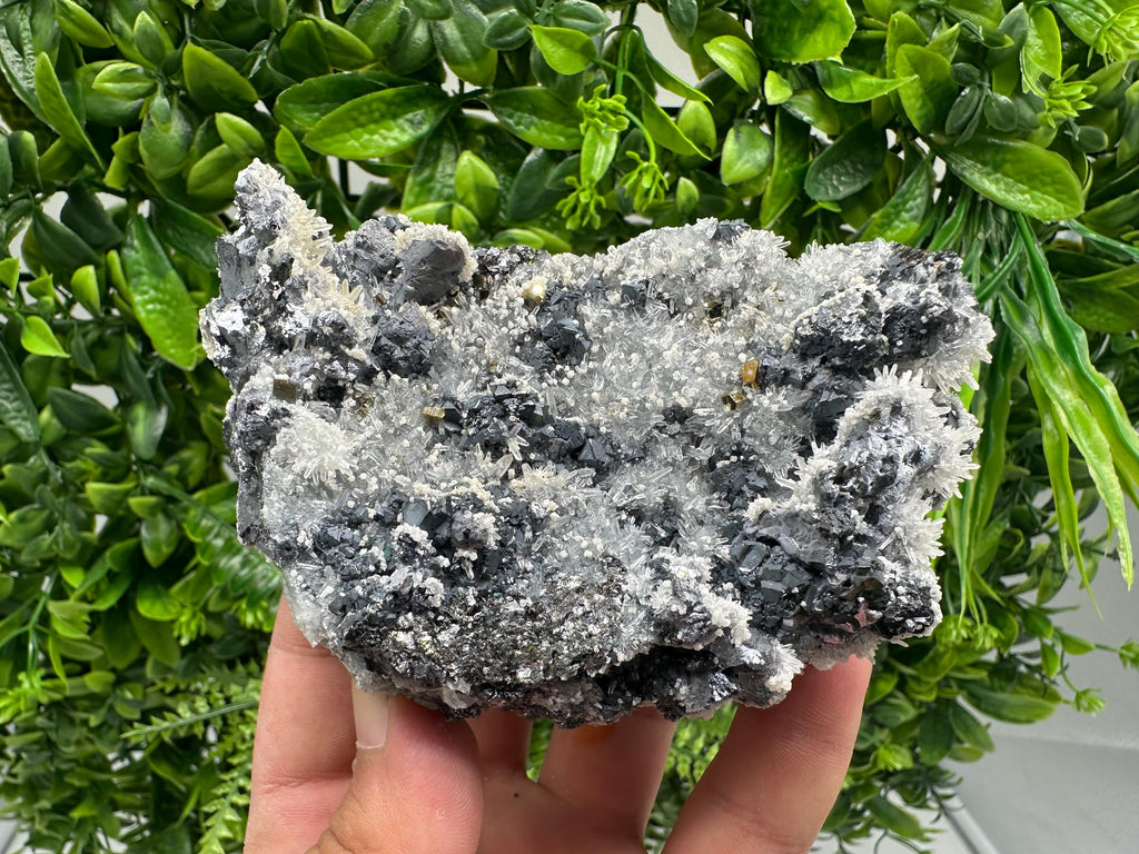 Galena Quartz Pyrite Mineral Specimen: Krushev Dol Mine, Bulgaria