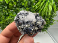 Calcite Pyrite on Galena with Quartz, Borieva Mine, Bulgaria