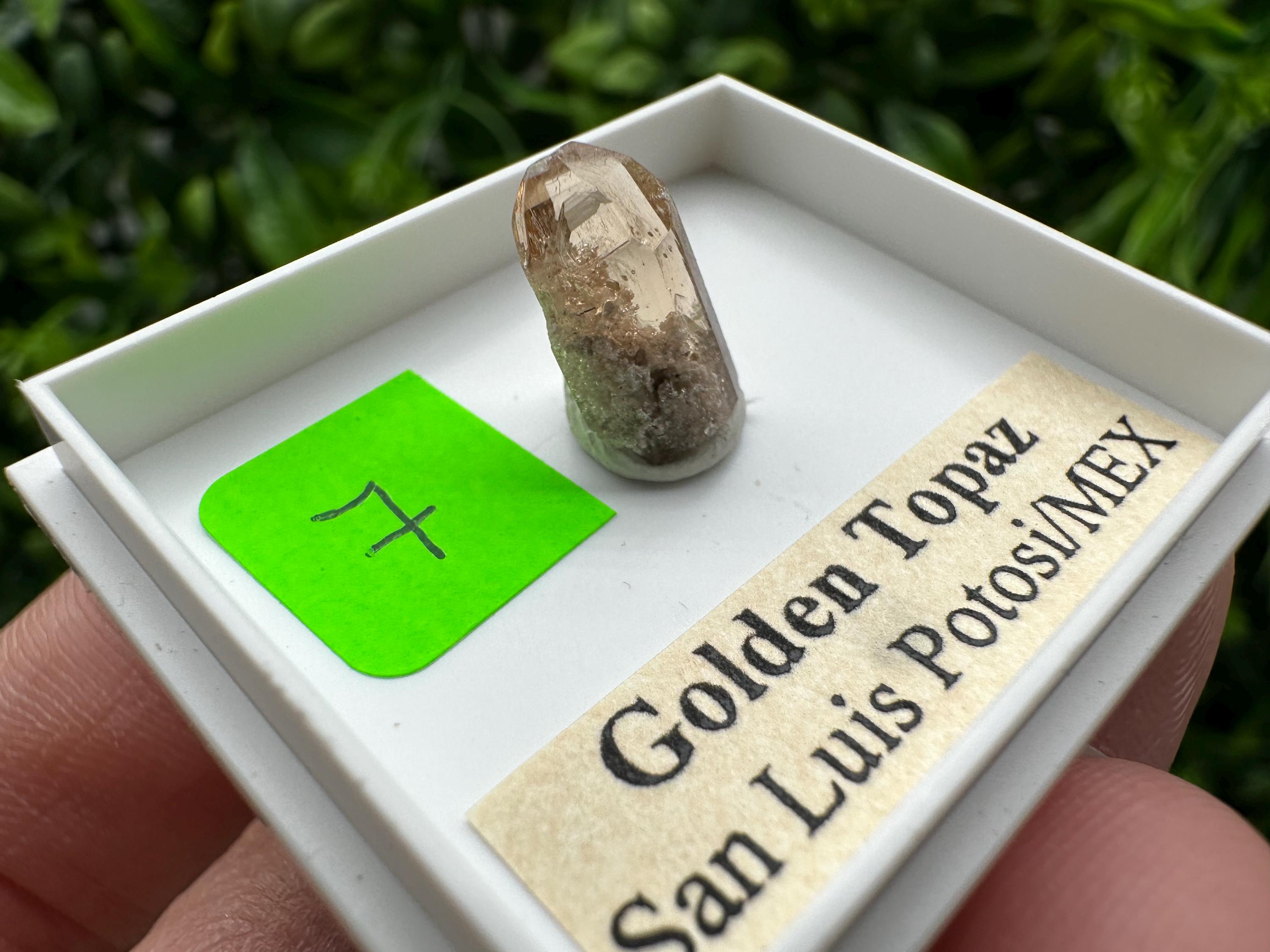 Golden Topaz Crystal, Mineral Specimen from Mexico