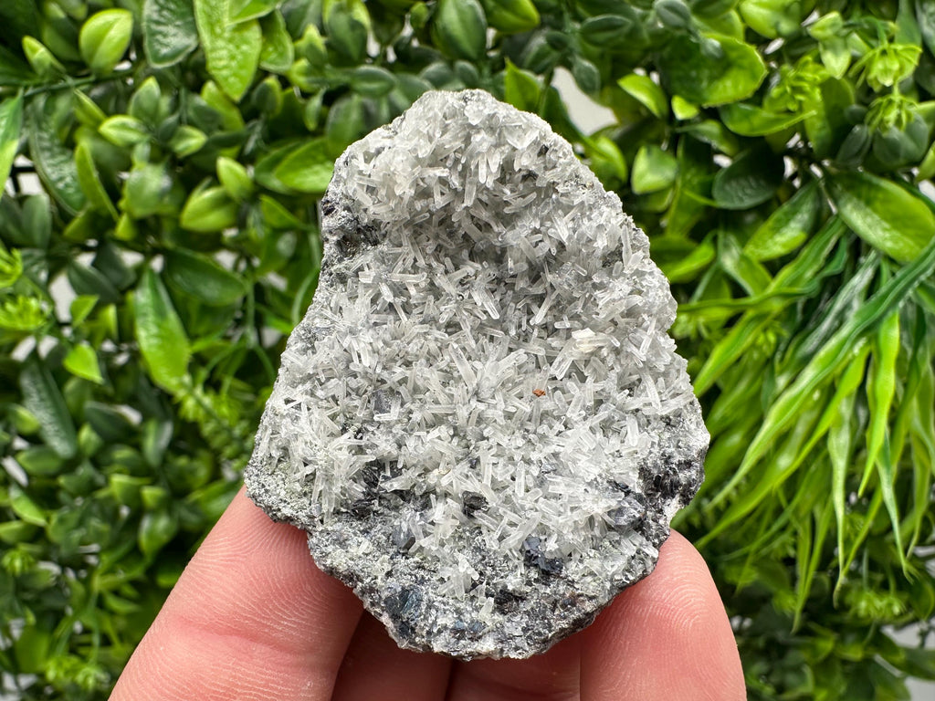 Pyrite on Green Quartz Specimen: Borieva Mine Mineral Decor