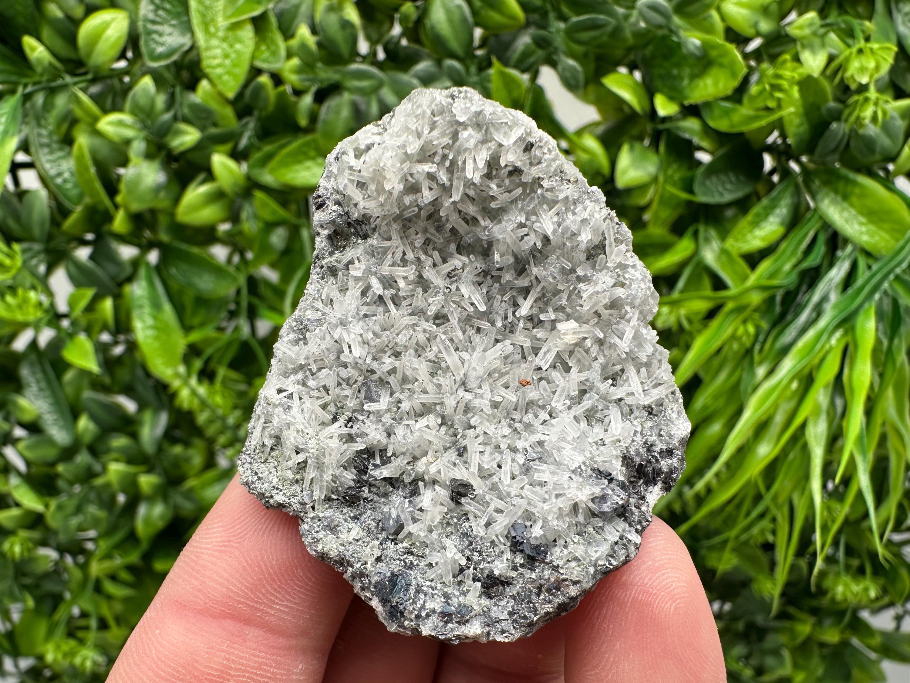 Pyrite on Green Quartz Specimen: Borieva Mine Mineral Decor