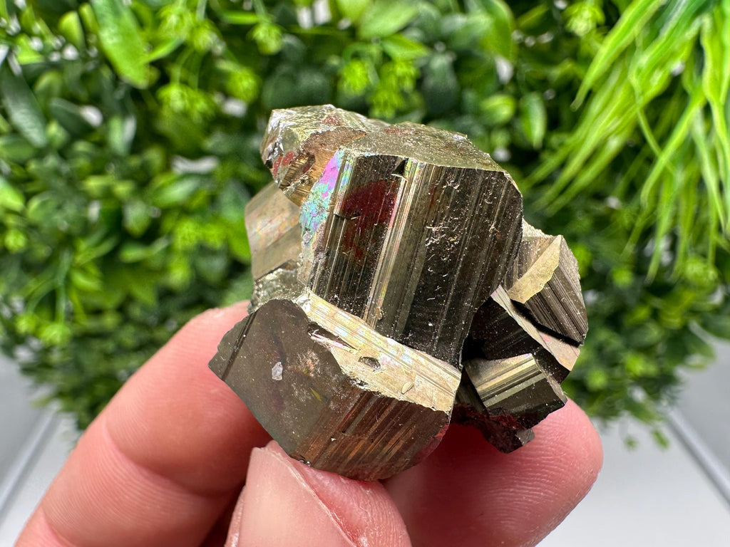 Rare Mini Pyrite Cluster: Golden Rainbow Crystallization from Borieva Mine