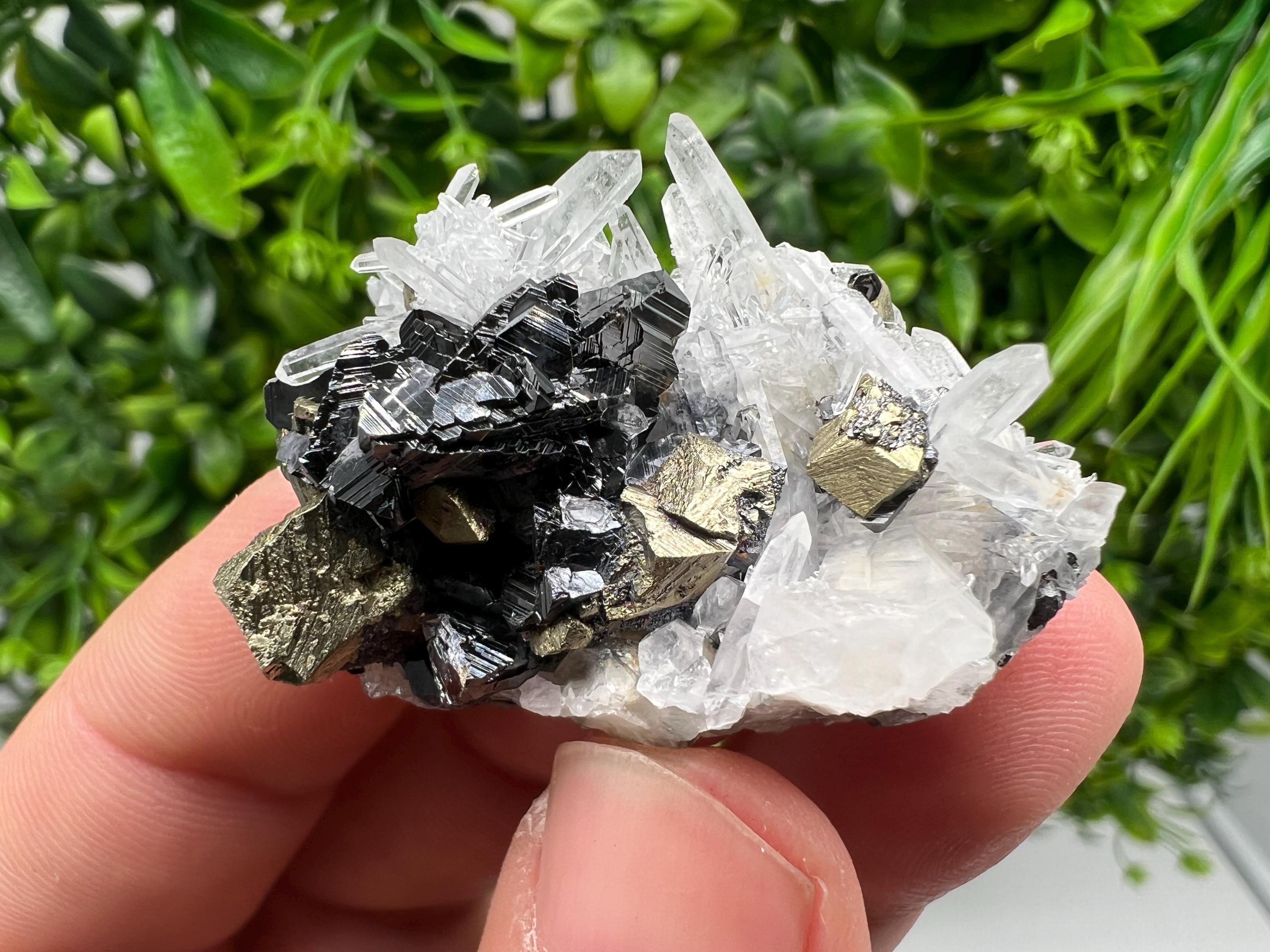 Aesthetic Natural shiny Galena whit Siderite and Quartz from 9 th September mine,Bulgaria,collection specimen,rare galena,Galena cluster