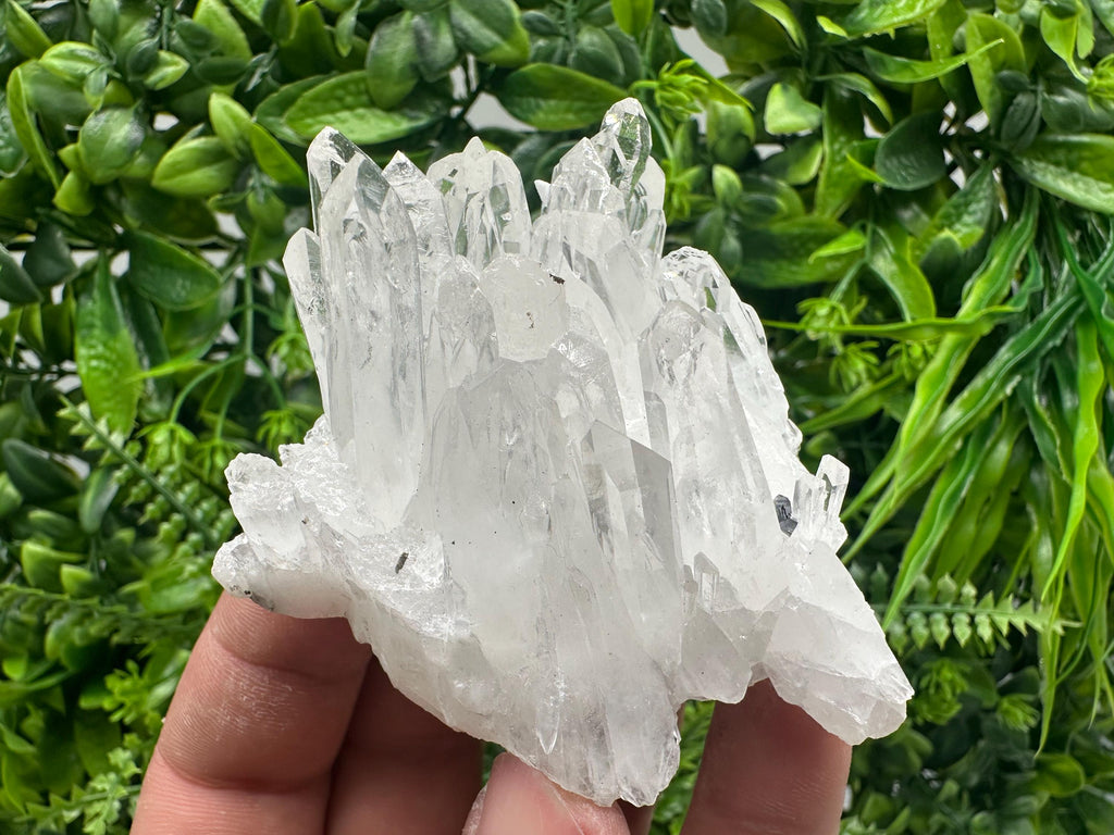 Transparent Quartz Cluster, Djurcovo Mine Bulgaria, Rare Crystal Specimen