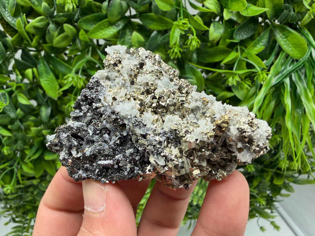 Pyrite Sphalerite Quartz  Mineral Specimen, Krushev dol Mine