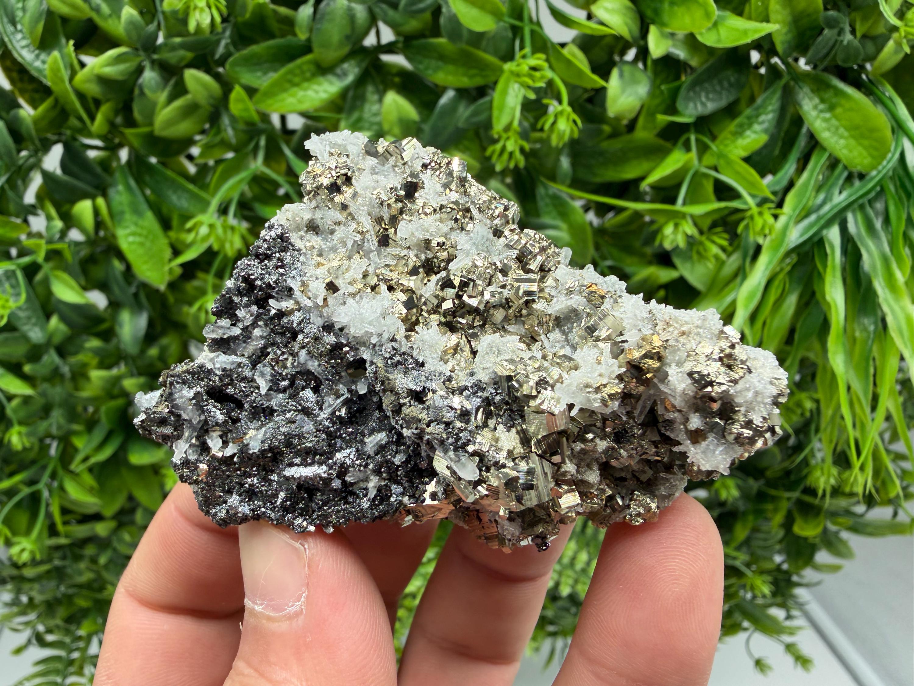 Pyrite Sphalerite Quartz  Mineral Specimen, Krushev dol Mine