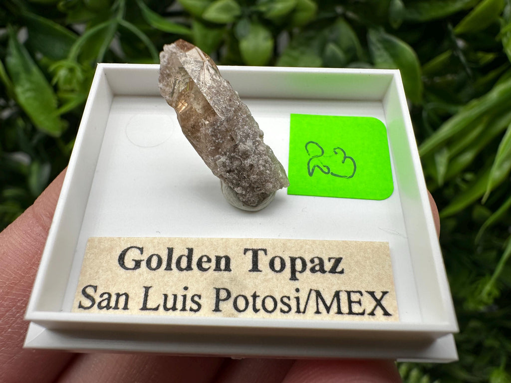 Golden Topaz Crystal, Mineral Specimen from Mexico