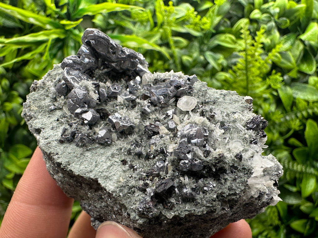 Galena Sphalerite Pyrite on Quartz, Madan Bulgaria Mineral Decor