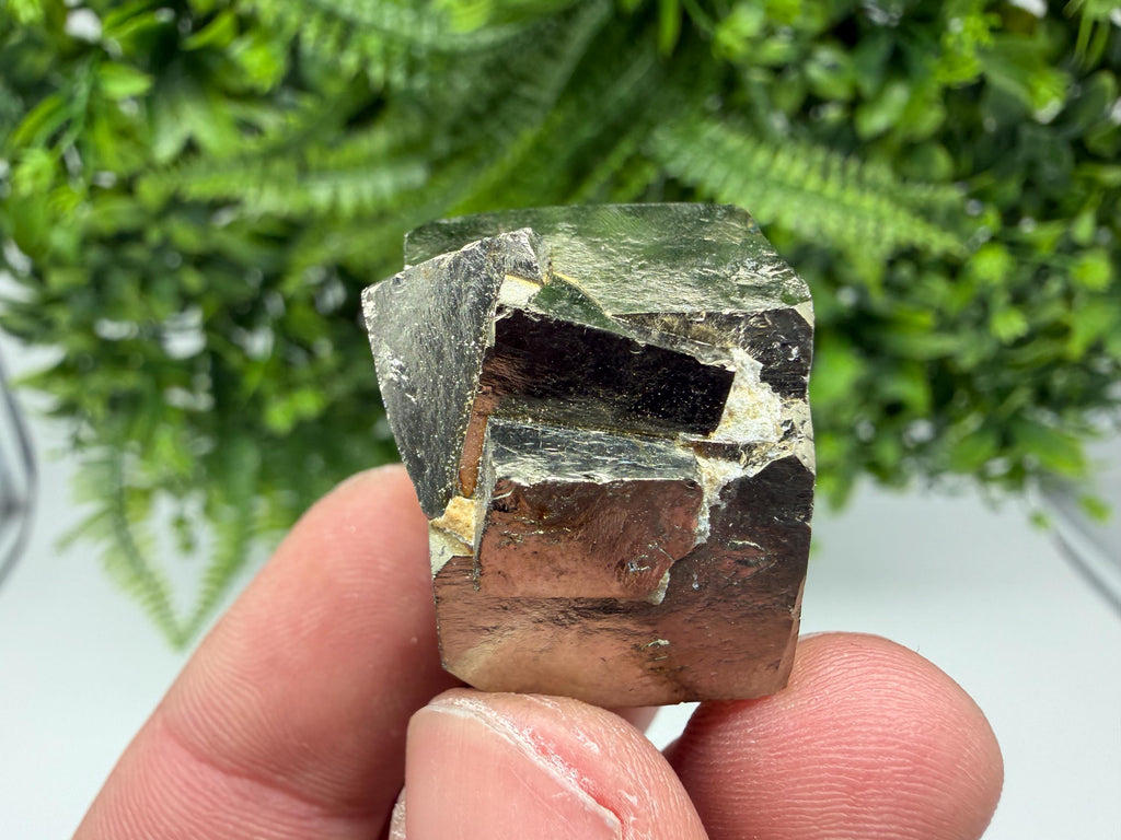 Interjoined,Pyrite,Gold,Cube PYRITE, Navajun, La Rioja, SPAIN,natural Pyrite shiny Pyrite home decor stone gift minerals,collectibls