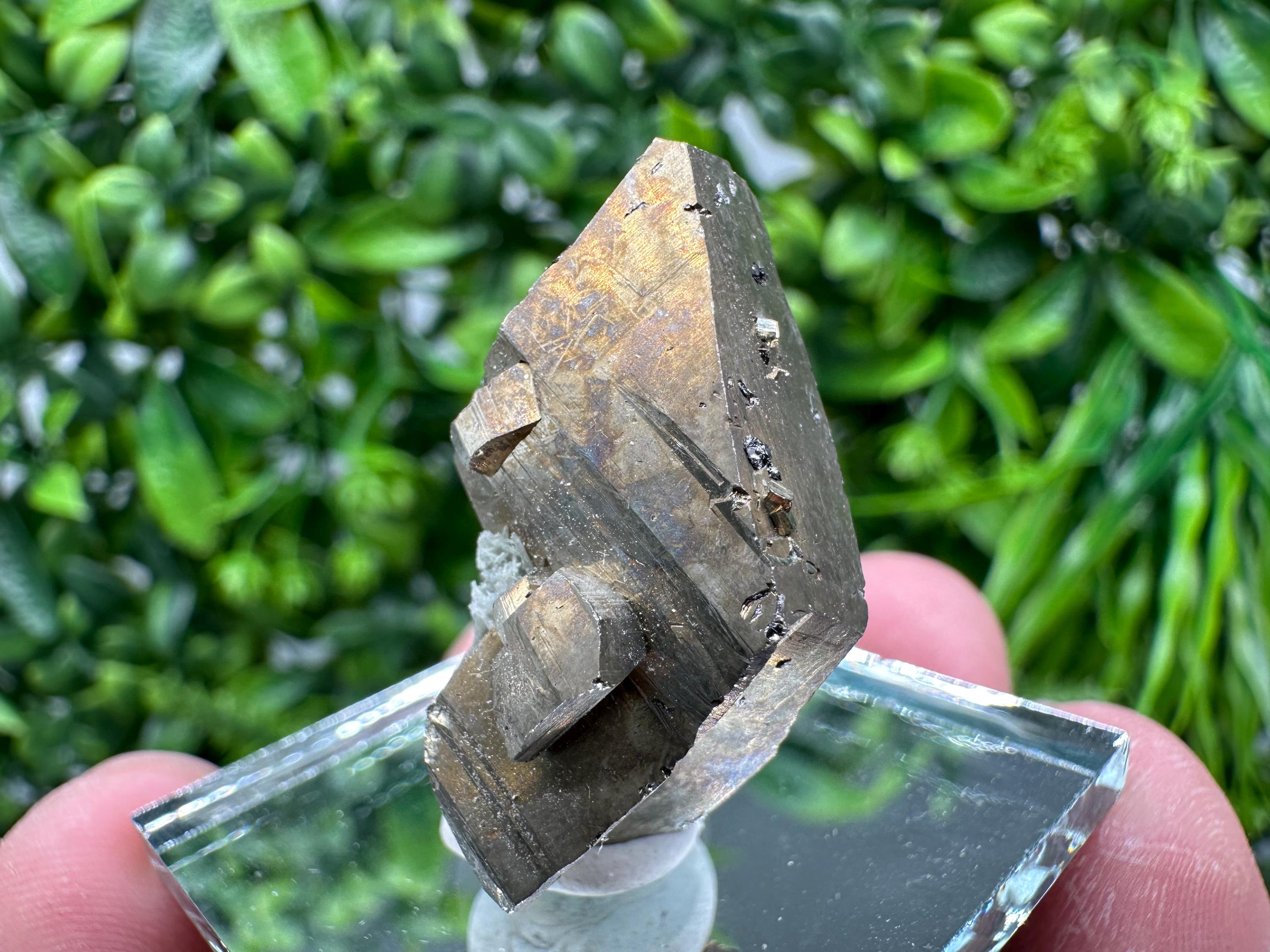 Mini Rainbow Pyrite Cluster: Borieva Mine, Bulgaria