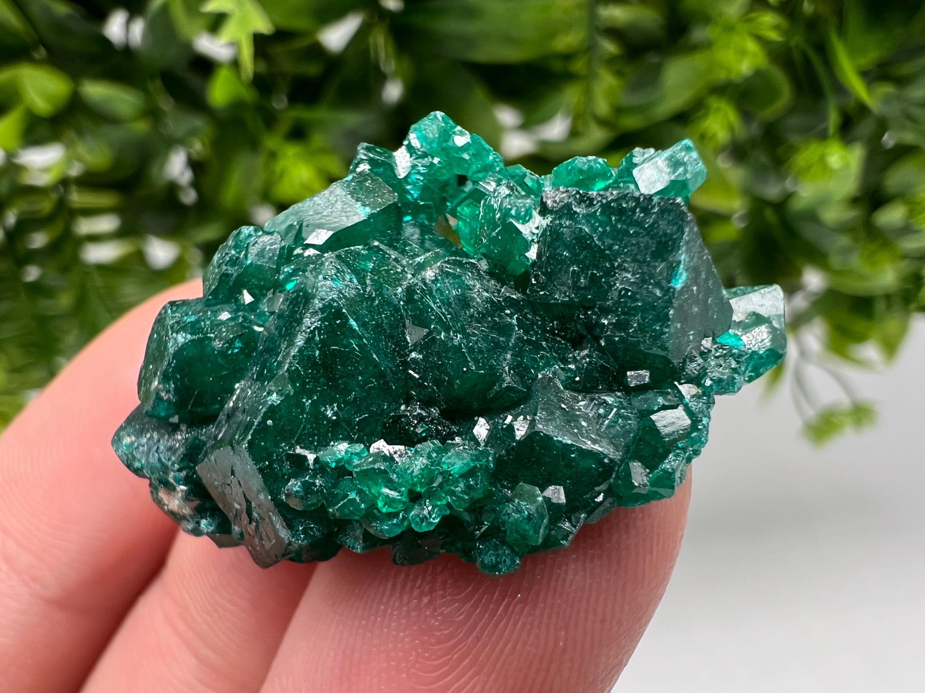Green Dioptase Crystal, Congo Mineral Specimen, Collecting