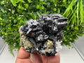 Wonderful Sphalerite Chalcopyrite on  Quartz whit Galena feom 9 th September mine,Bulgaria,natural,collection mineral specimen,gift