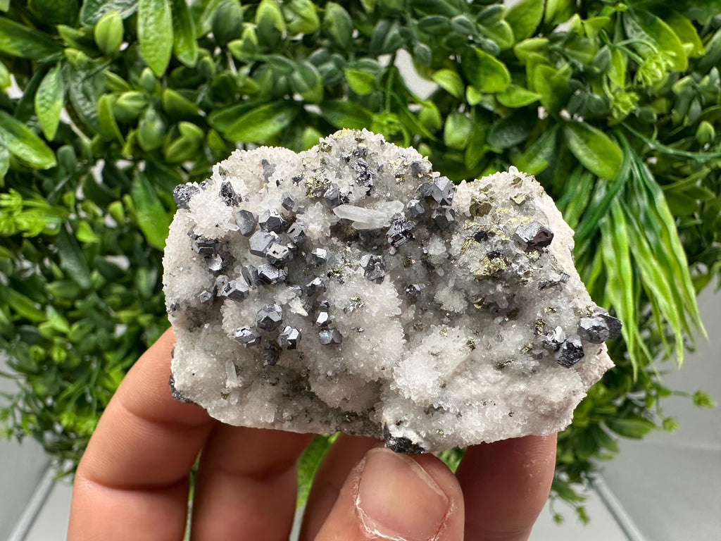Rare,collection Galena on Chalcedony from Krushev dol mine,Madan,Bulgaria,Natural mineral specimen,geology,crystal,home decor,gift