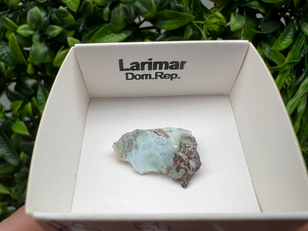 Rare Raw Larimar Specimen: Dominican Republic Crystal (25/15mm)