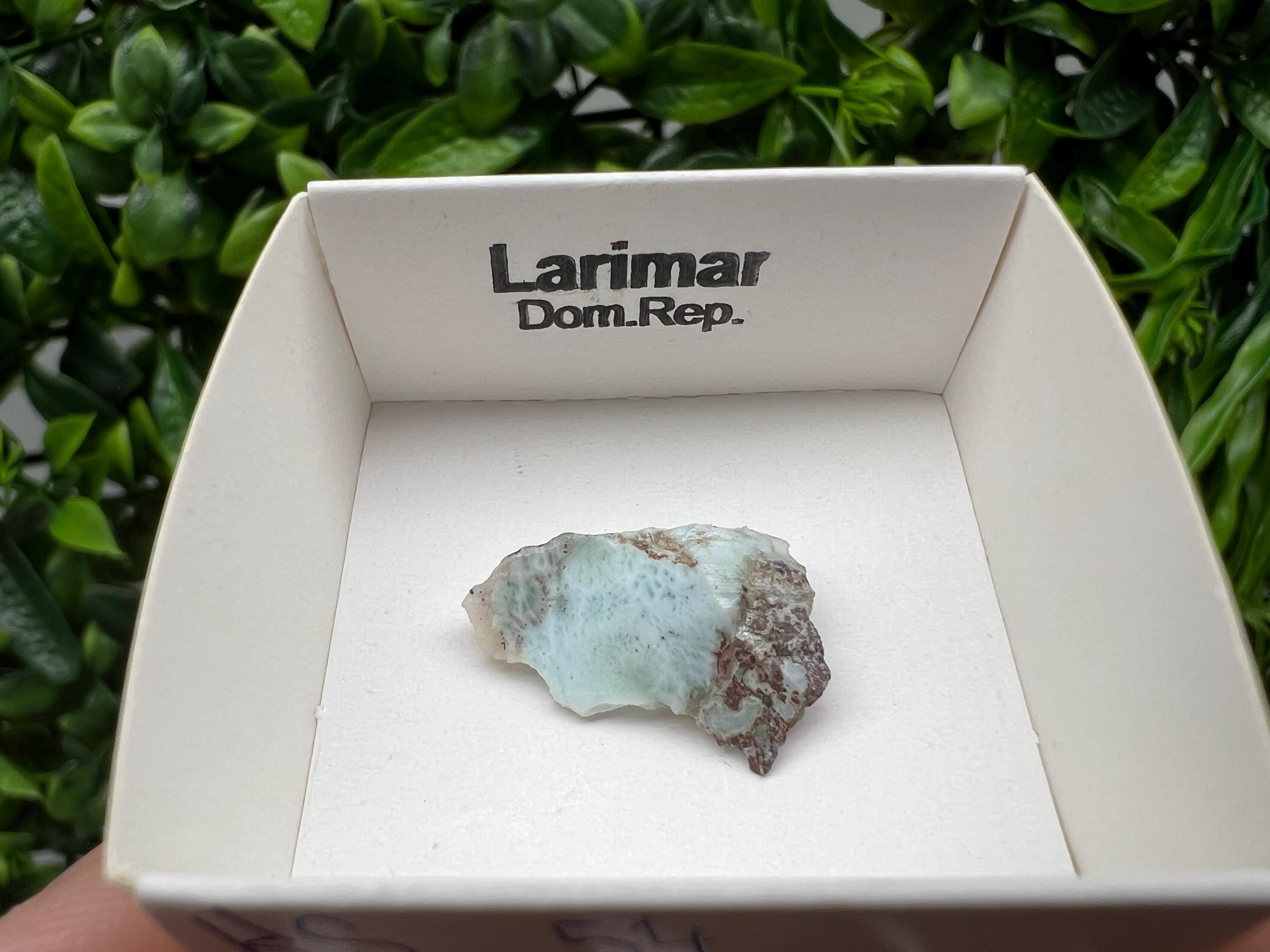 Rare Raw Larimar Specimen: Dominican Republic Crystal (25/15mm)