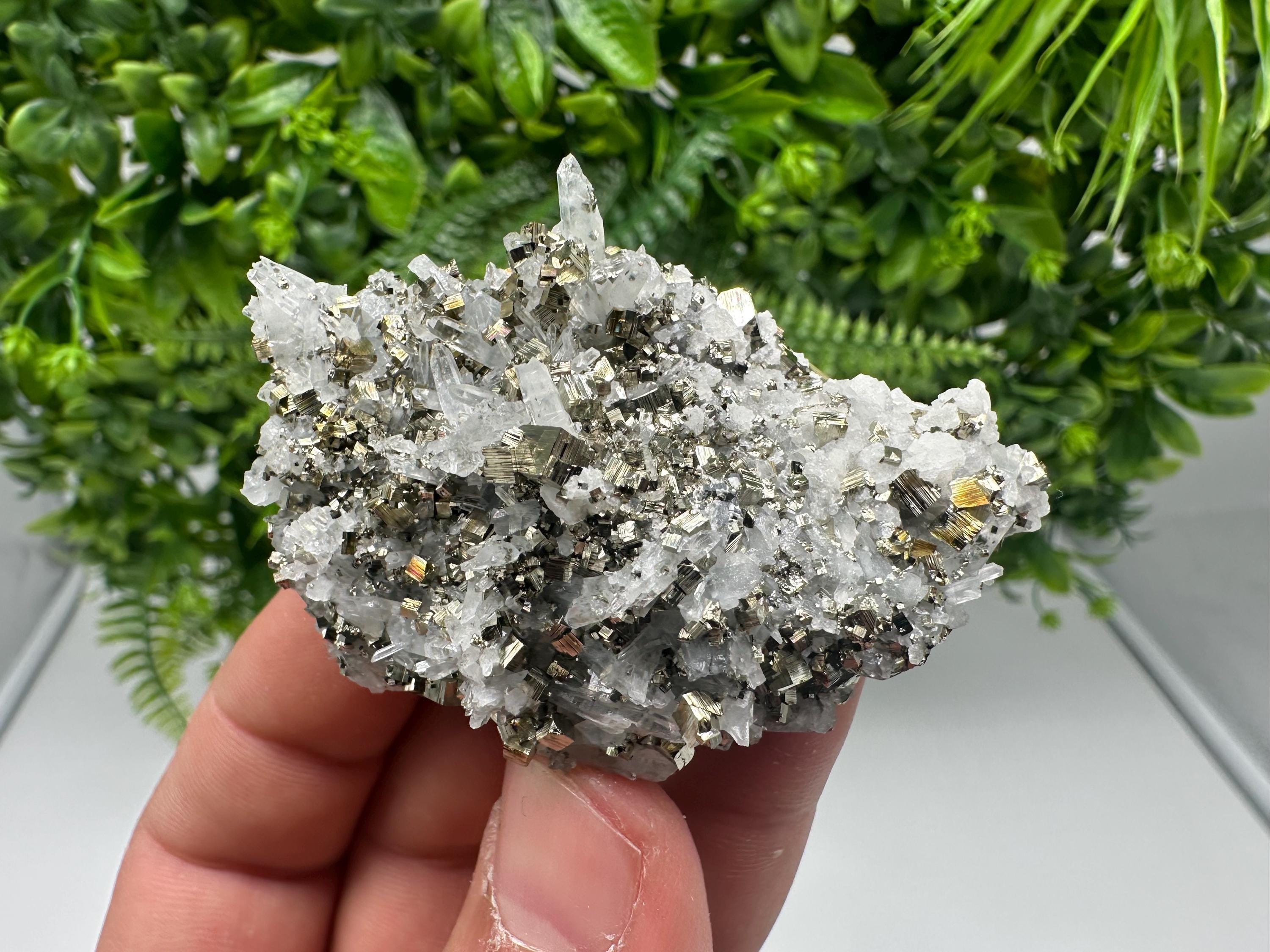 Pyrite on Green Quartz Mineral Specimen, Borieva Mine Bulgaria