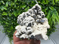 Stunning Galena whit Dolomite from Krushev dol mine,Madan,Bulgaria,natural,collection mineral specimen,Home decor stone,rare crystal,Gift