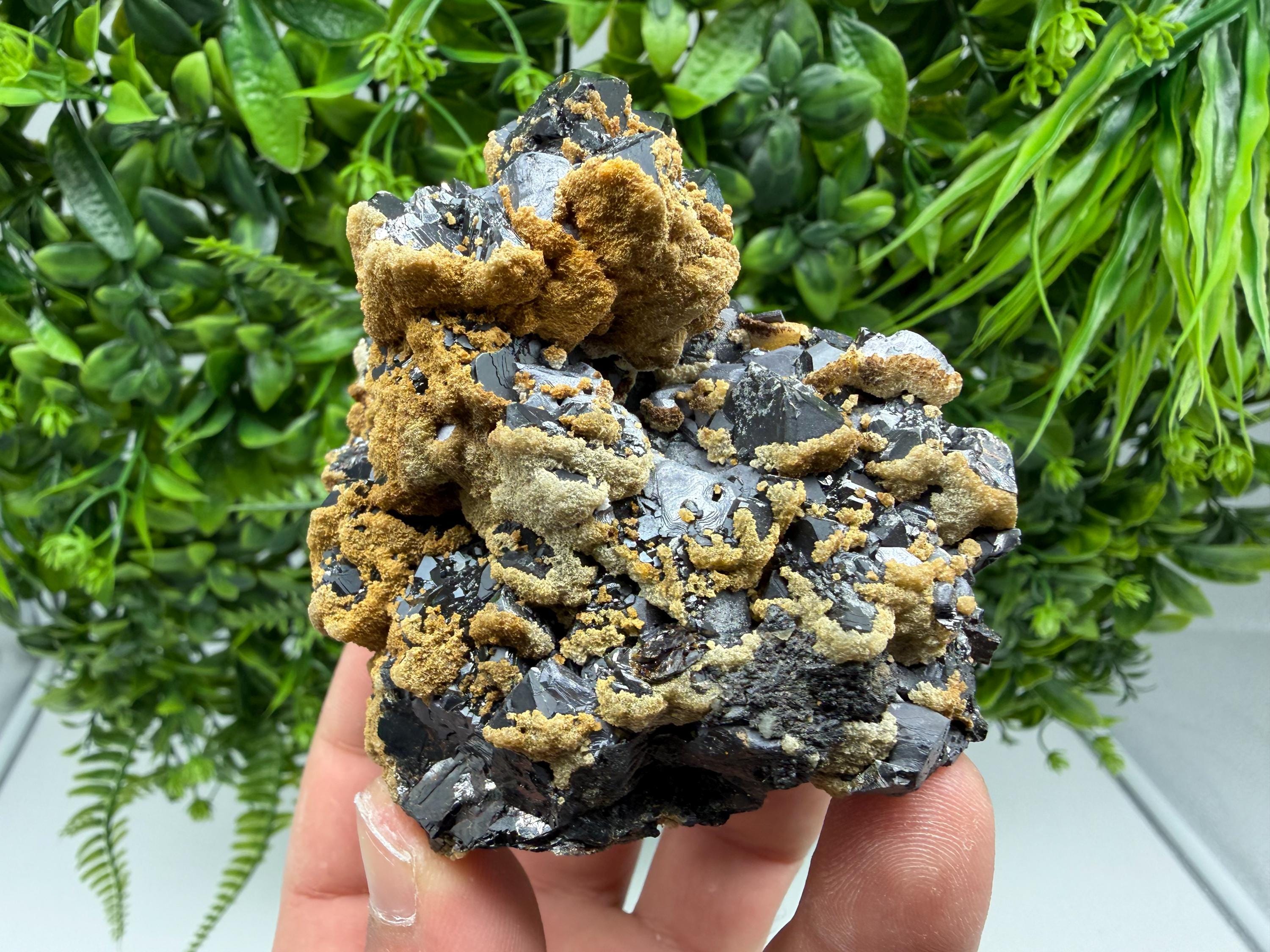 Skeletal Galena with Dolomite: Krushev Dol Mine, Bulgaria