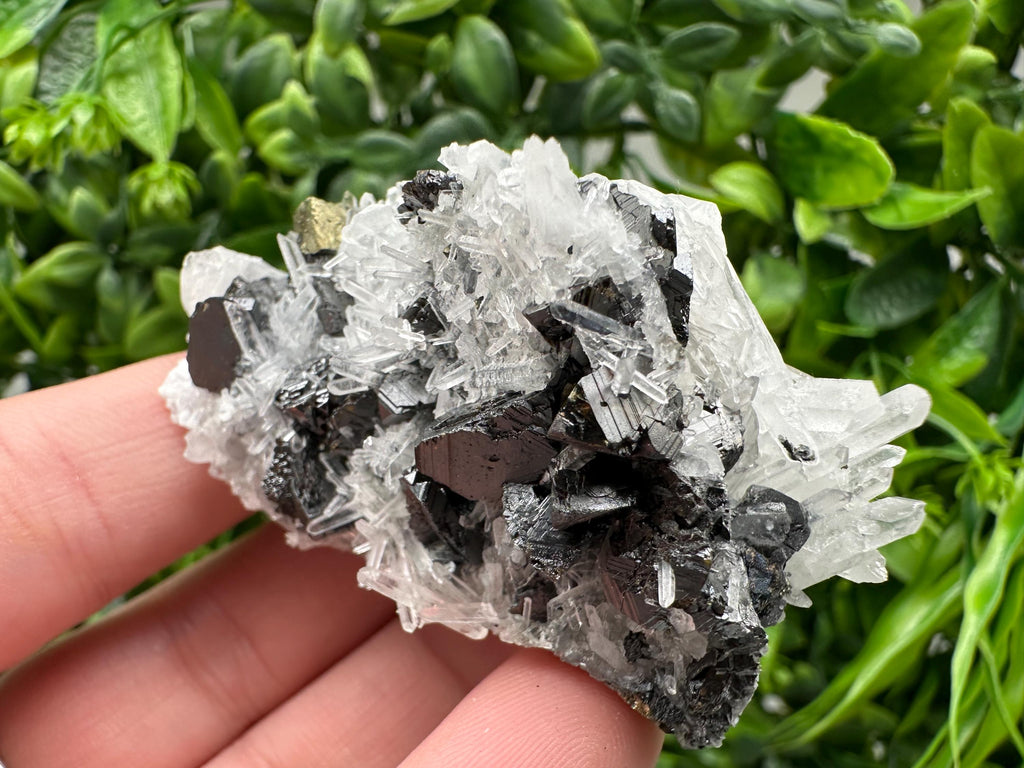 Wonderful Sphalerite Chalcopyrite on  Quartz whit Galena feom 9 th September mine,Bulgaria,natural,collection mineral specimen,gift