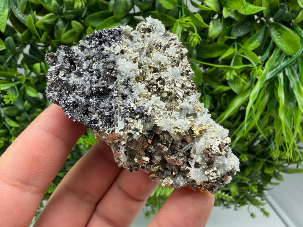 Pyrite Sphalerite Quartz  Mineral Specimen, Krushev dol Mine