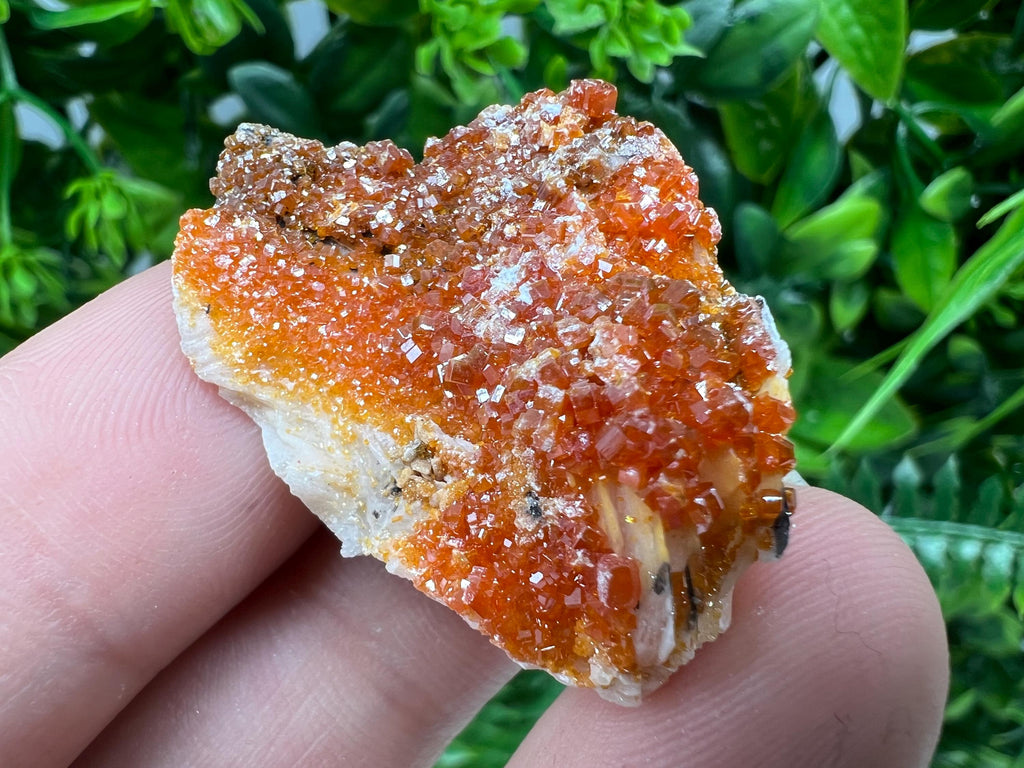 Red Vanadinite on Barite Specimen, Morocco Crystal Cluster