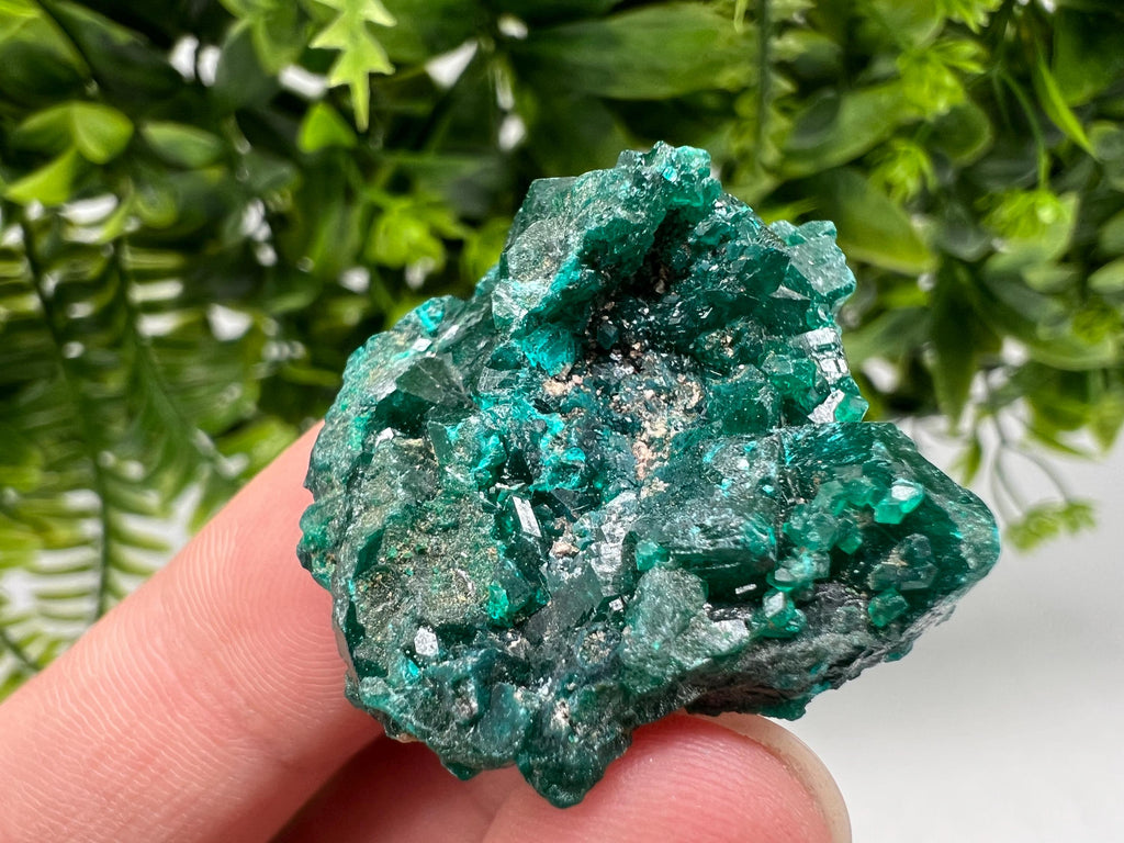 Stunning Green Dioptase from Sanda Hills,Mindouli,Pool Department,Mindouli District,Congo,green Dioptase,Dioptas Crystal,Dioptase collecting