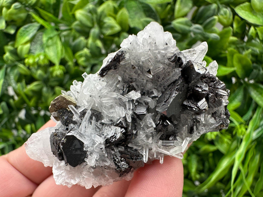 Wonderful Sphalerite Chalcopyrite on  Quartz whit Galena feom 9 th September mine,Bulgaria,natural,collection mineral specimen,gift