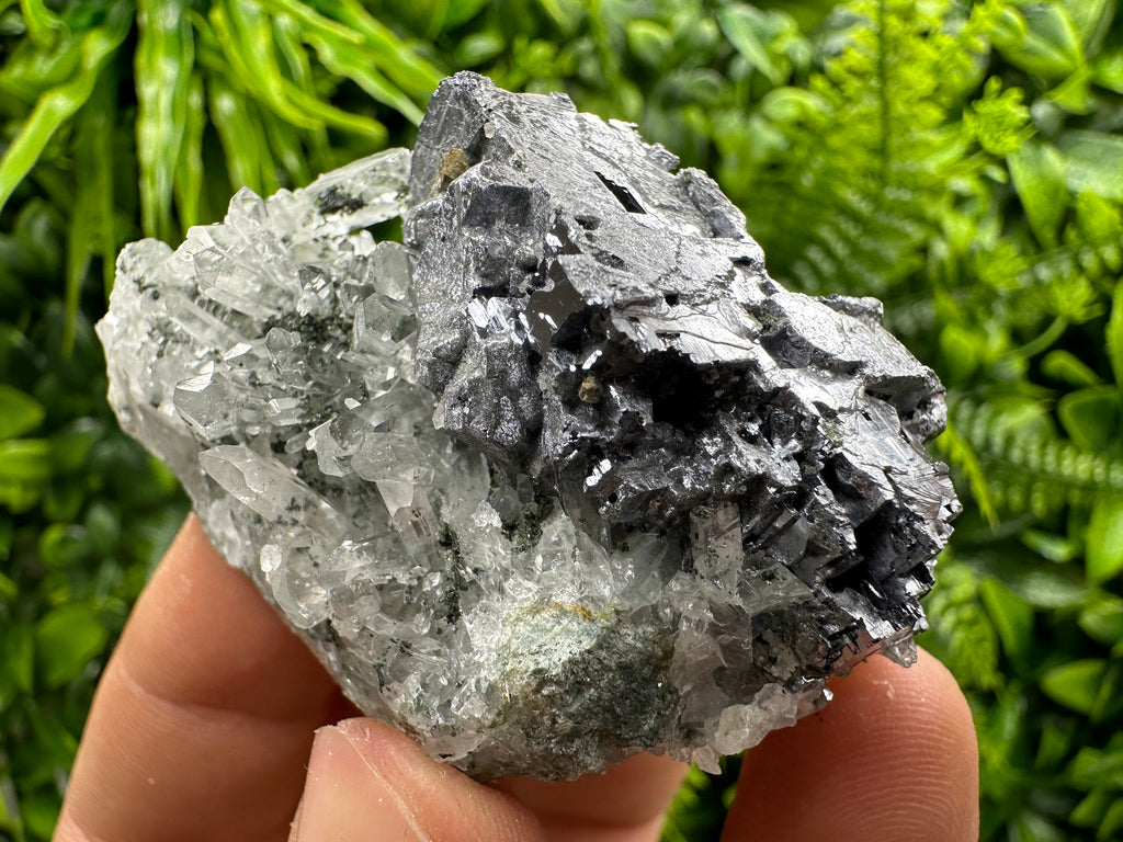 Quartz and Galena Mineral Specimen: Borieva Mine, Bulgaria