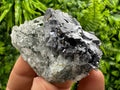 Quartz and Galena Mineral Specimen: Borieva Mine, Bulgaria