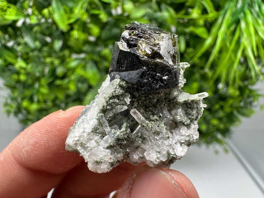 Stunning Sphalerite on  Quarzt from Borieva mine,Madan,Bulgaria,natural,collection mineral specimen,home decor crystal,gift,collection