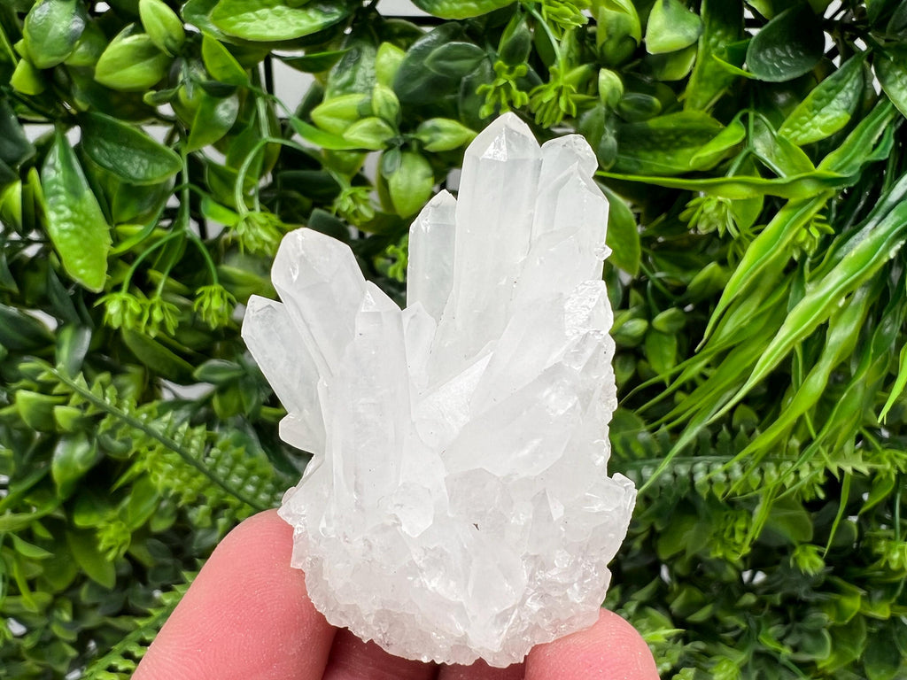 Transparent Quartz Cluster, Djurcovo Mine, Bulgaria, Mineral Specimen