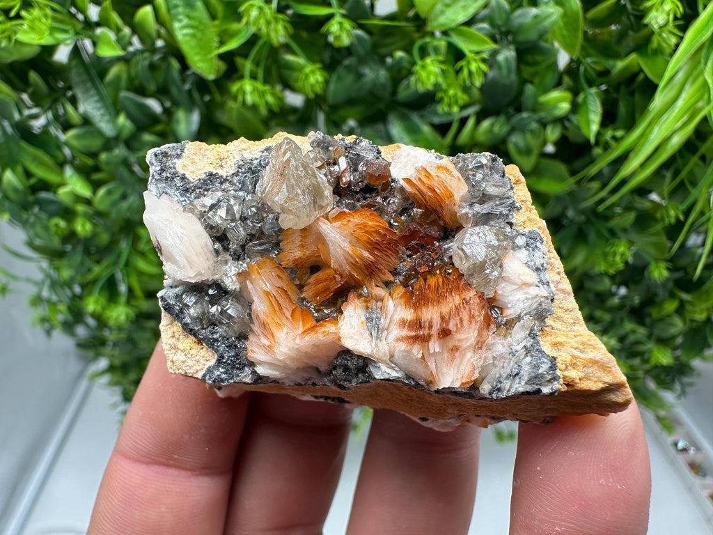 Wonderful Baryte with Cerussite on Galena from Morocco,Crystal, Mineral,Specimen,Cluster,Crystals,Barite Crystal,Cerussite Crystal,Specimen