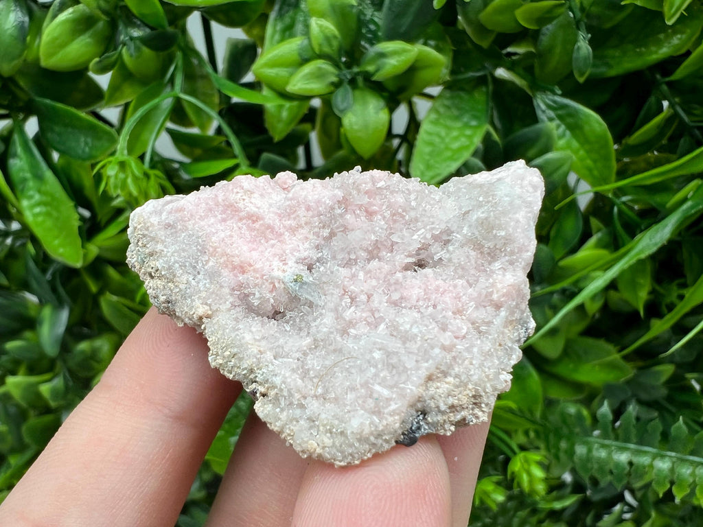 Pink Rhodochrosite Mineral Specimen, Starnica Mine Bulgaria
