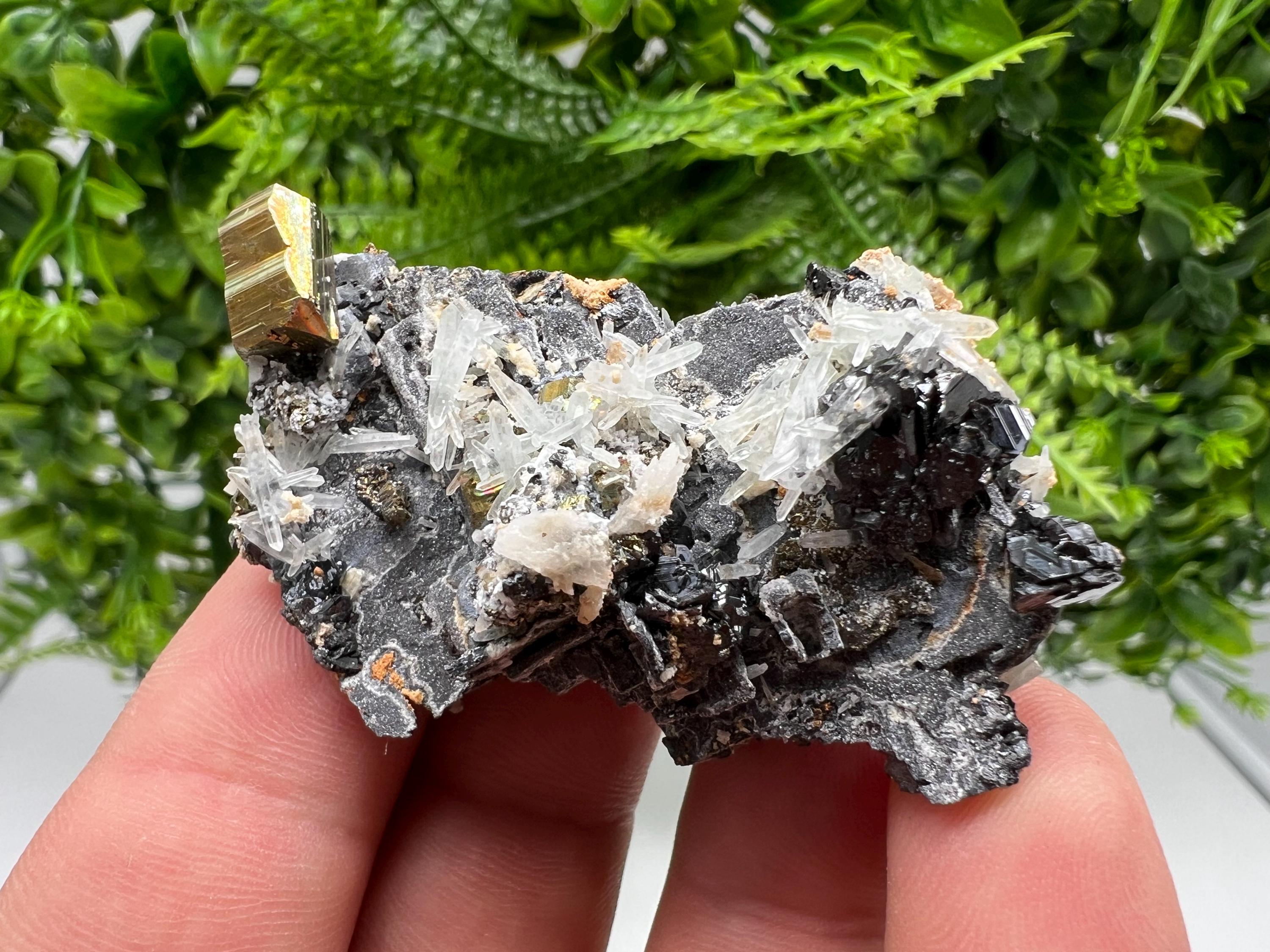 Skeleral Galena, Pyrite, Quartz Mineral Specimen, Madan Bulgaria