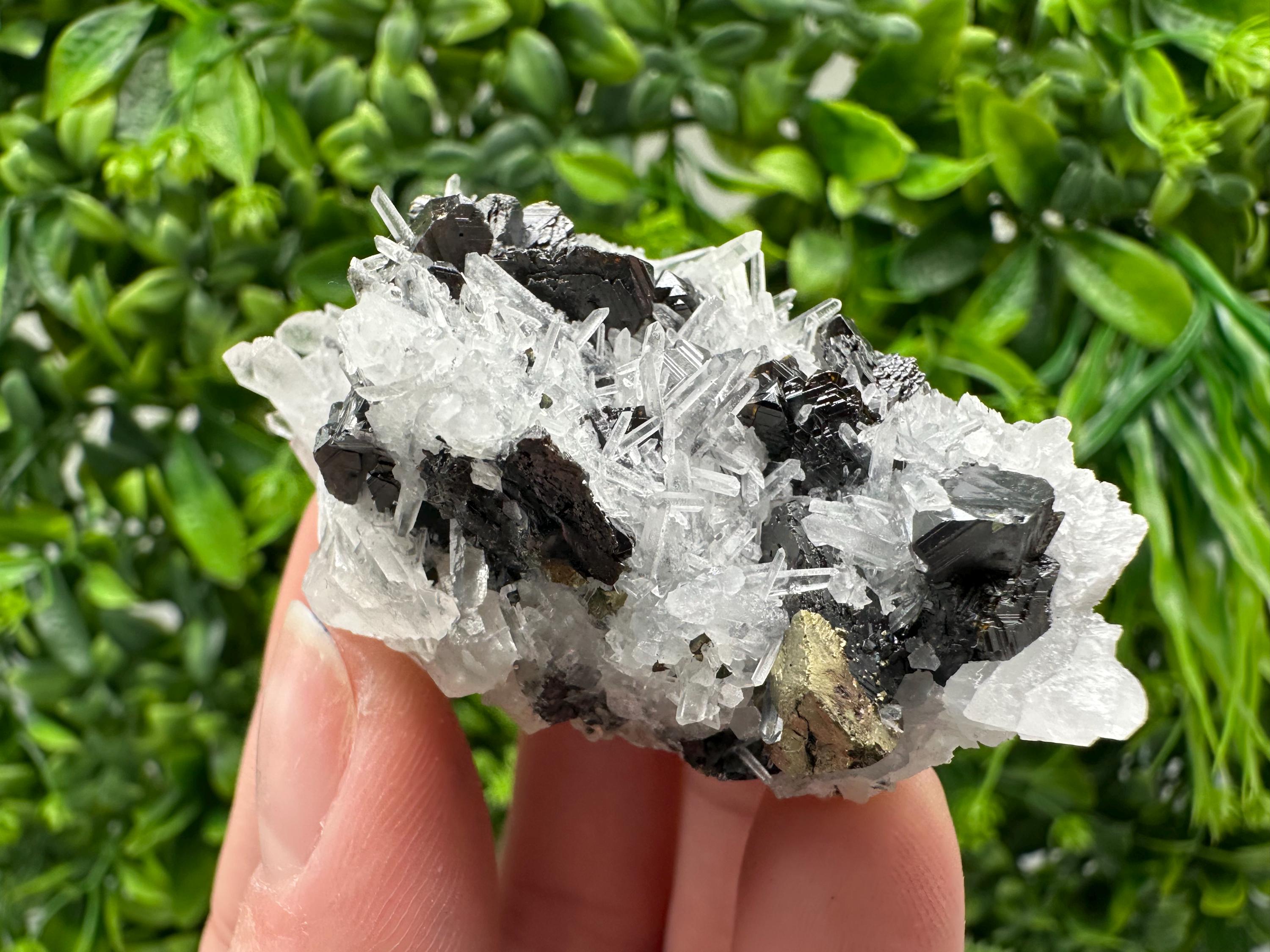 Wonderful Sphalerite Chalcopyrite on  Quartz whit Galena feom 9 th September mine,Bulgaria,natural,collection mineral specimen,gift
