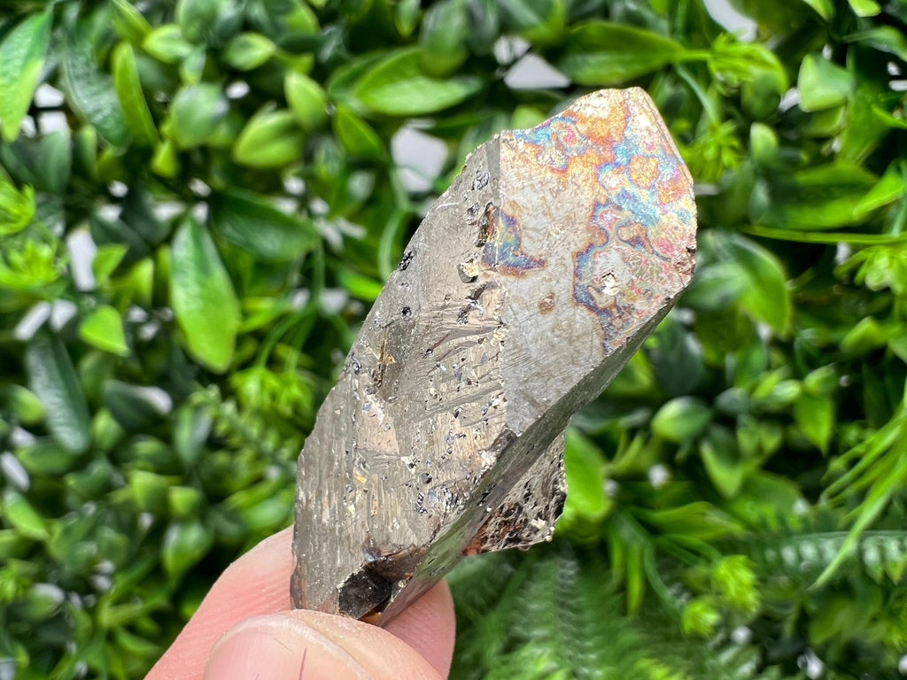 Rare Rainbow Pyrite Cluster: Borieva Mine, Bulgaria